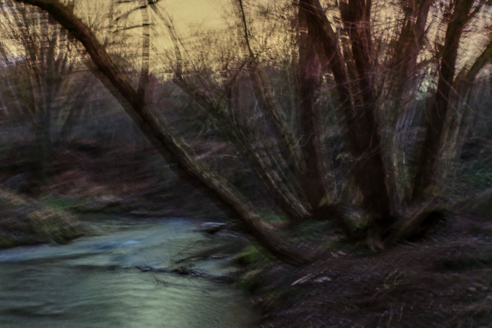 180 220214 Nacht Dirk Opitz DIO1523 DxO