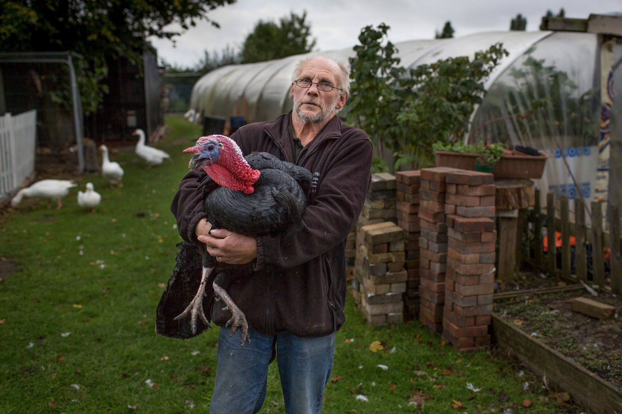 Andy und sein Truthahn