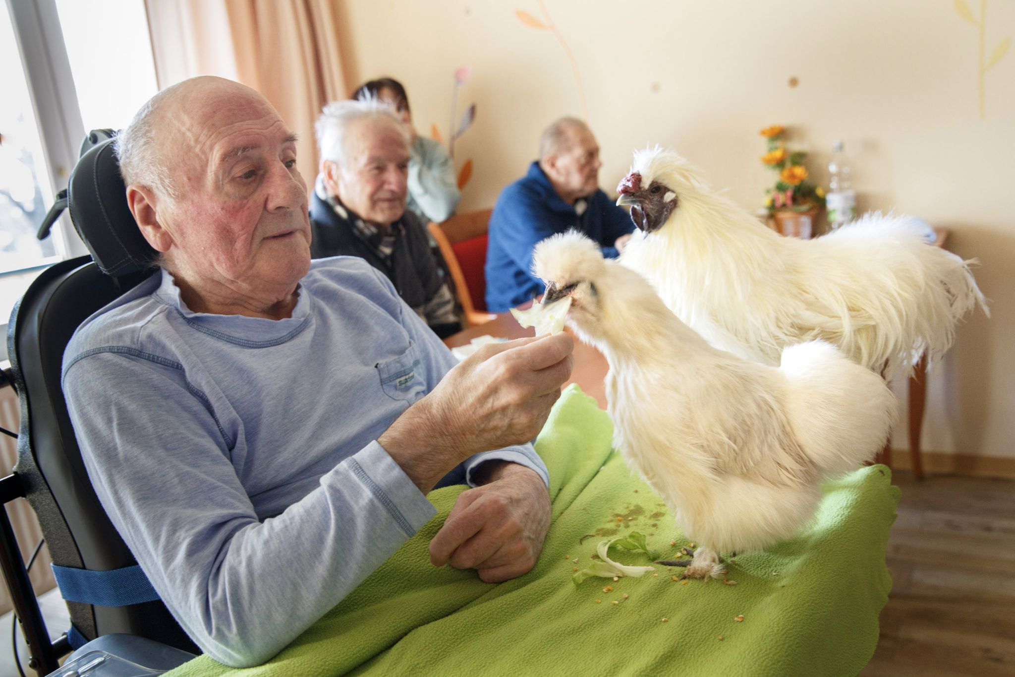 When you’re 66, life really begins. When you’re 66 you have